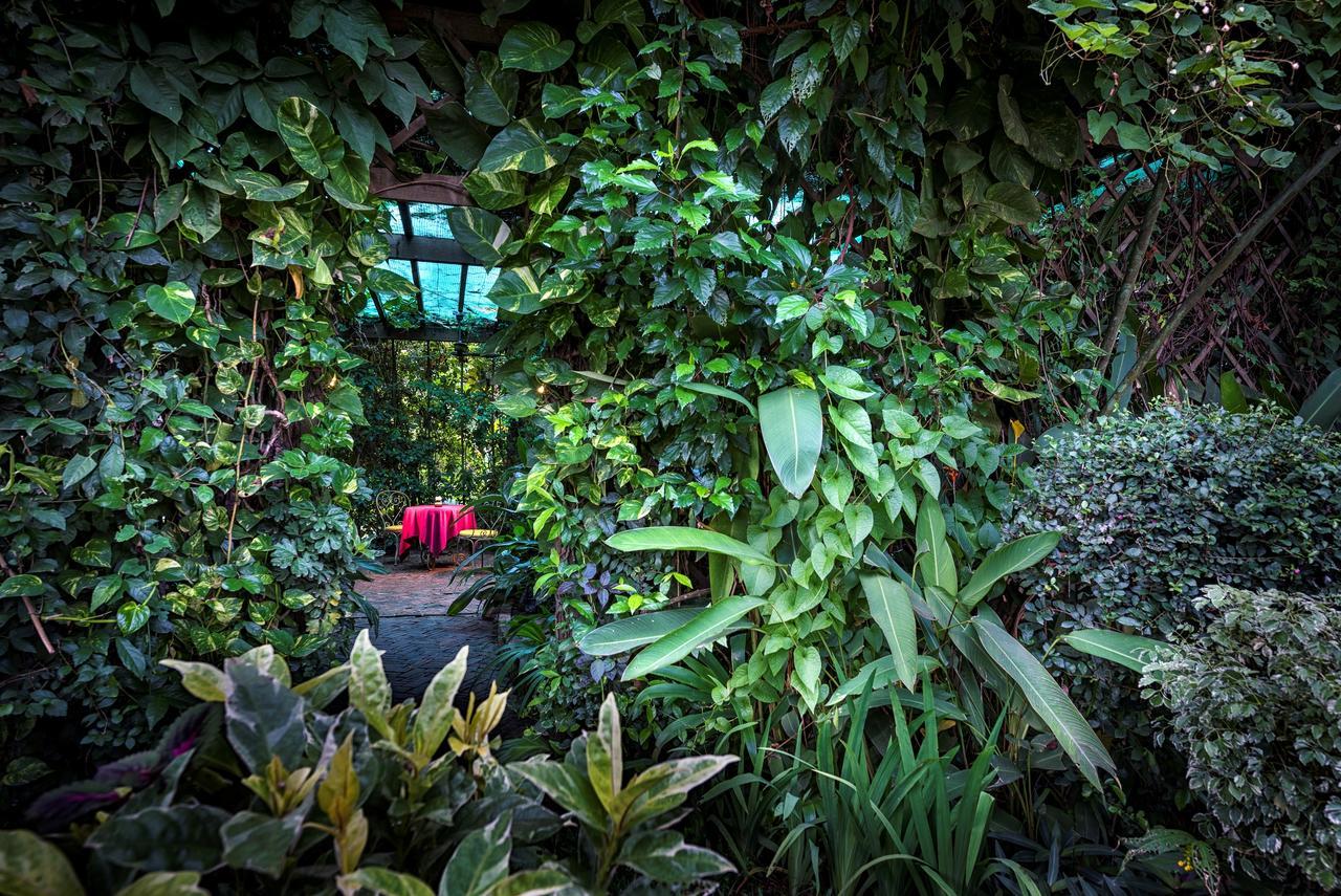 Amatao Tropical Residence Siem Reap Exterior photo